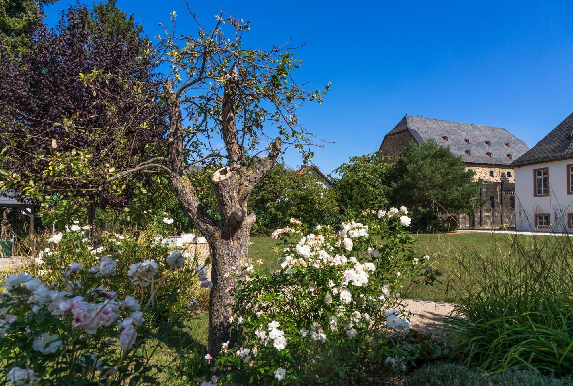 Johanniterhotel Nieder Weisel ภายนอก รูปภาพ